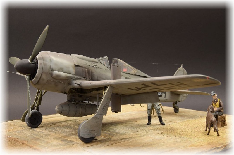 Focke-Wulf Fw 190 F-8 (V75)