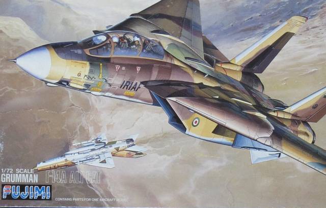 Grumman F-14A Tomcat IRIAF vs. MiG-21