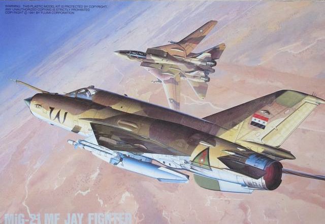 Grumman F-14A Tomcat IRIAF vs. MiG-21