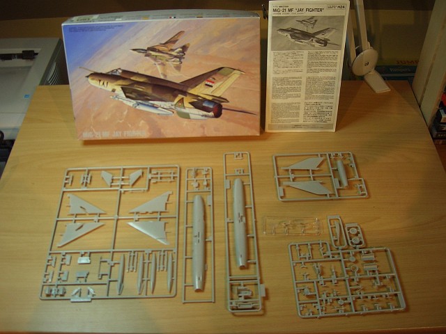 Grumman F-14A Tomcat IRIAF vs. MiG-21