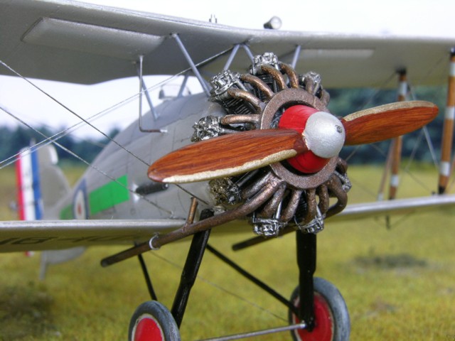 Gloster Gamecock