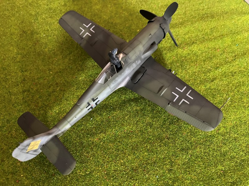 Focke-Wulf Fw 190 D-11