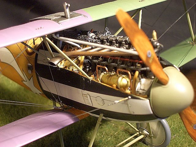 Albatros D.V