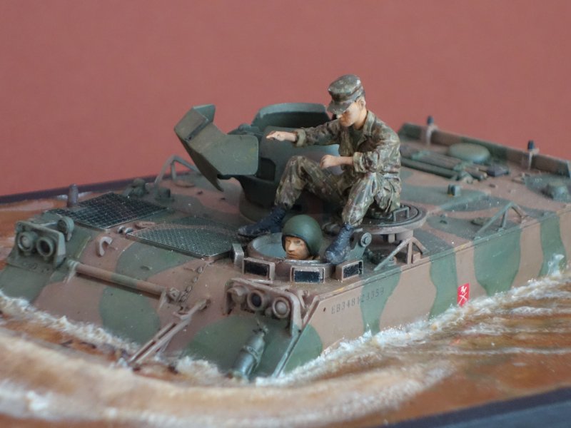 M113 BR (VBTP)