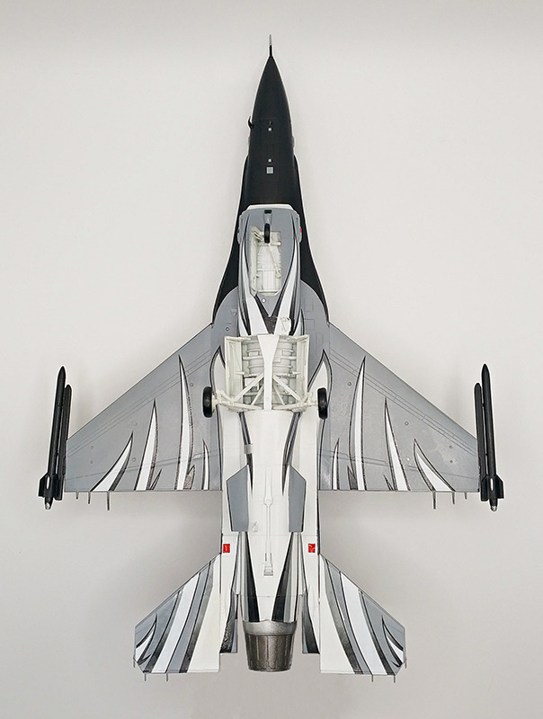 General Dynamics F-16AM