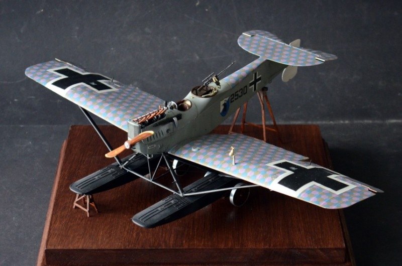 Hansa-Brandenburg W.29