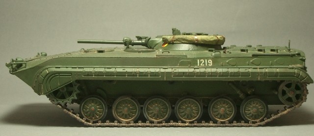 BMP-1 SP2