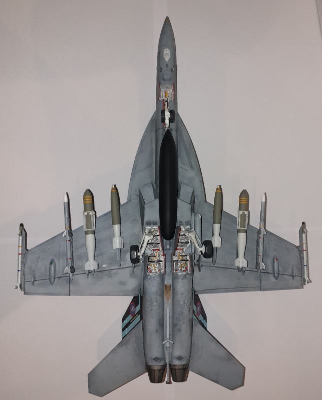 F/A-18 E Super Hornet