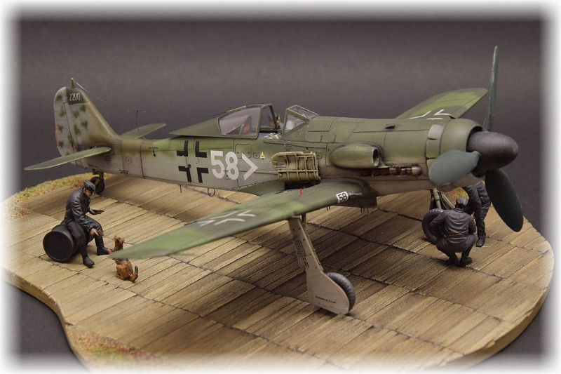 Focke Wulf Fw 190 D-11