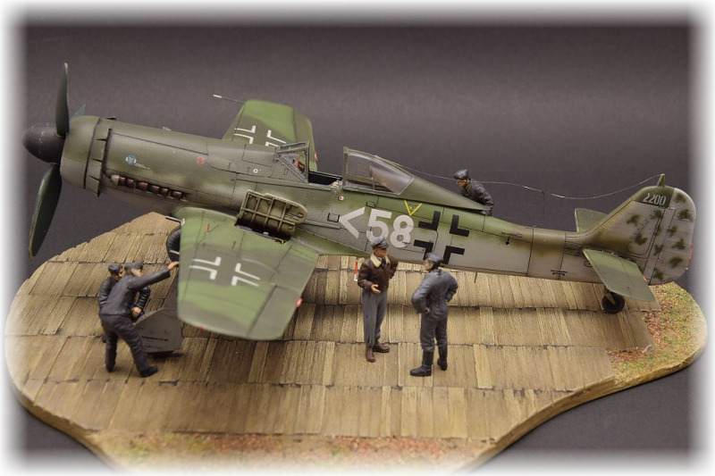 Focke-Wulf Fw 190 D-11