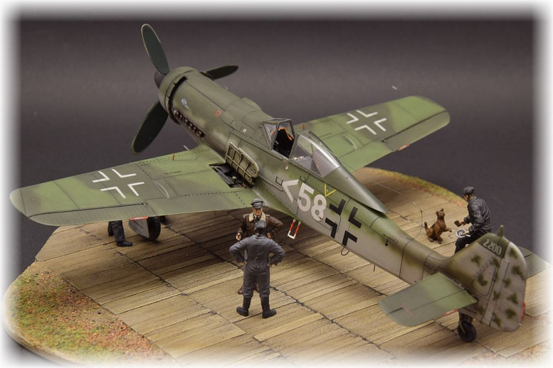 Focke-Wulf Fw 190 D-11