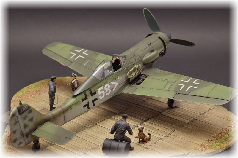 Focke-Wulf Fw 190 D-11