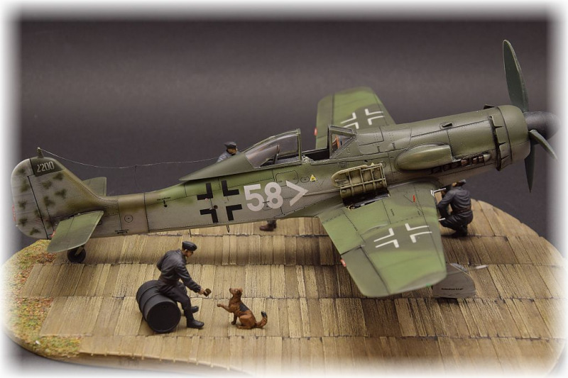 Focke-Wulf Fw 190 D-11