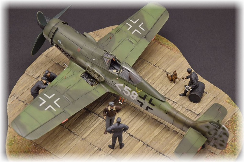 Focke-Wulf Fw 190 D-11