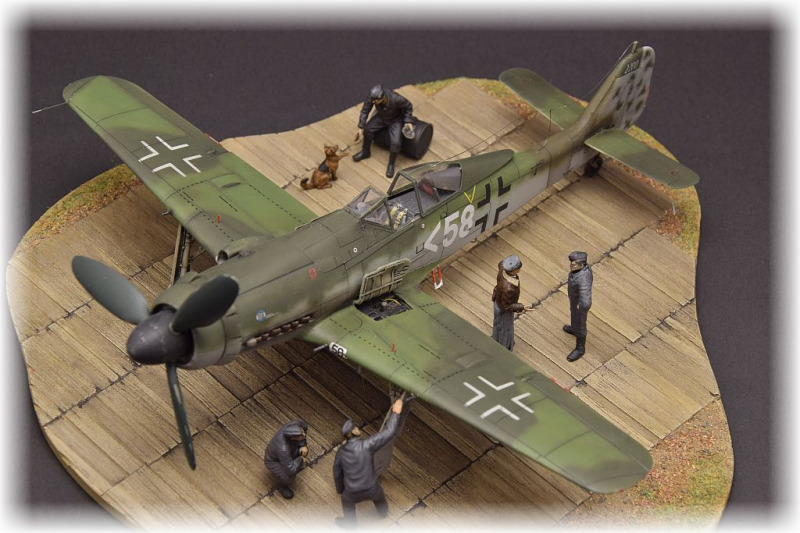 Focke-Wulf Fw 190 D-11