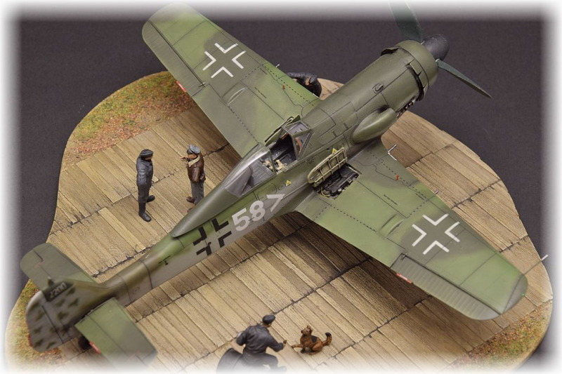 Focke-Wulf Fw 190 D-11