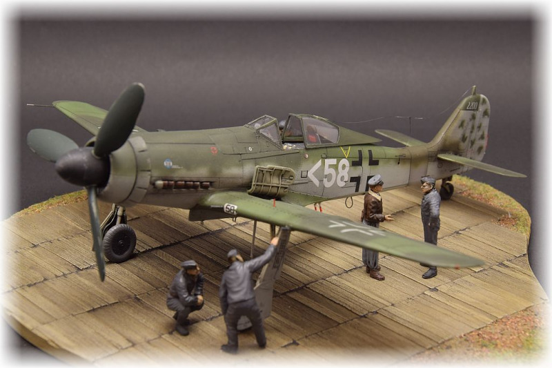 Focke-Wulf Fw 190 D-11