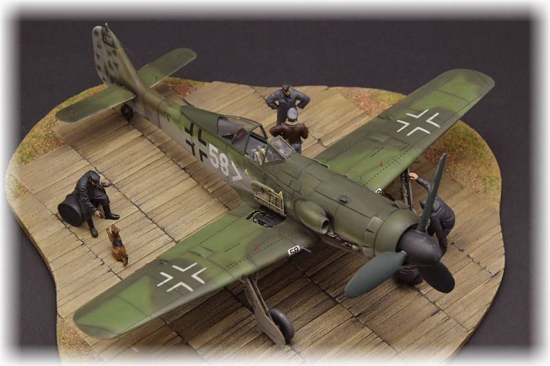 Focke-Wulf Fw 190 D-11