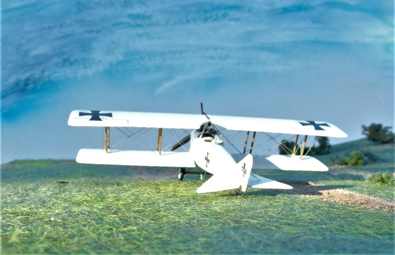 Albatros C.I