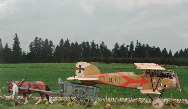 Albatros D.III Oeffag