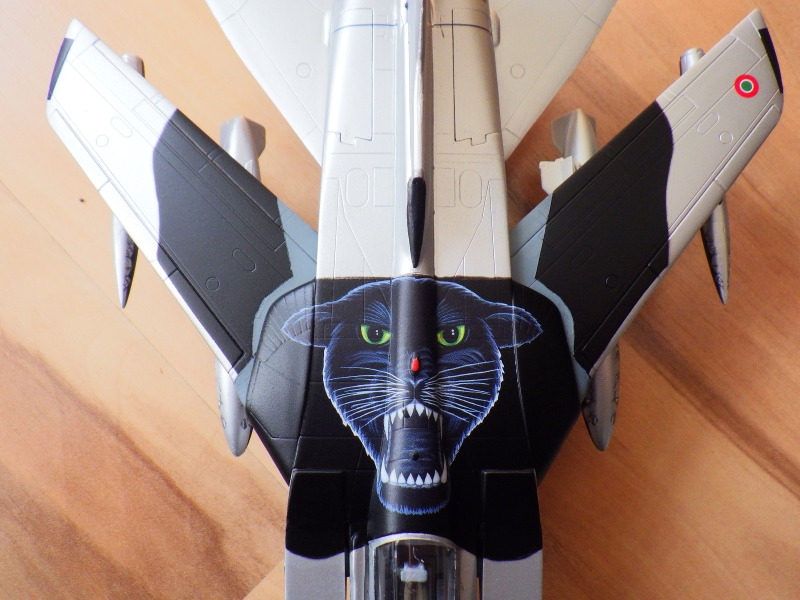 Panavia Tornado IDS "Black Panthers"