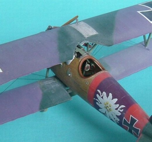 Albatros D.V