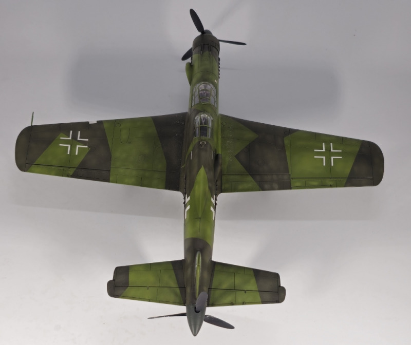 Dornier Do 335 A-12 "Ameisenbär"