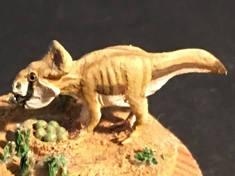 Protoceratops andrewsi