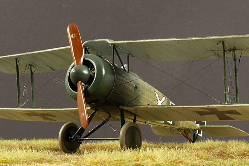 Fokker D.V