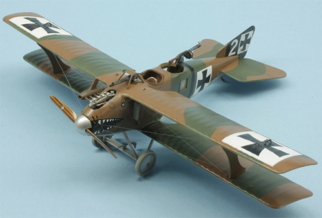 LFG Roland C.II "Walfisch", Eduard 1:48 von Roland Sachsenhofer