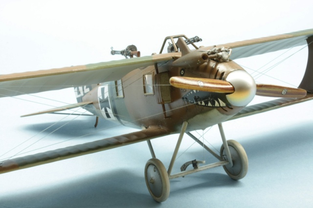 LFG Roland C.II Walfisch