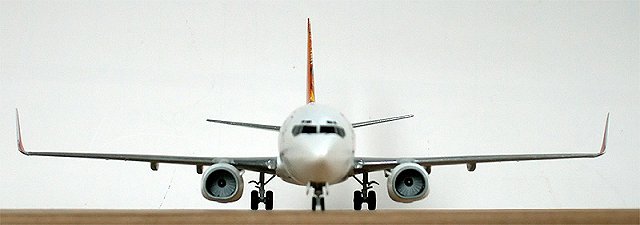 Boeing 737-800