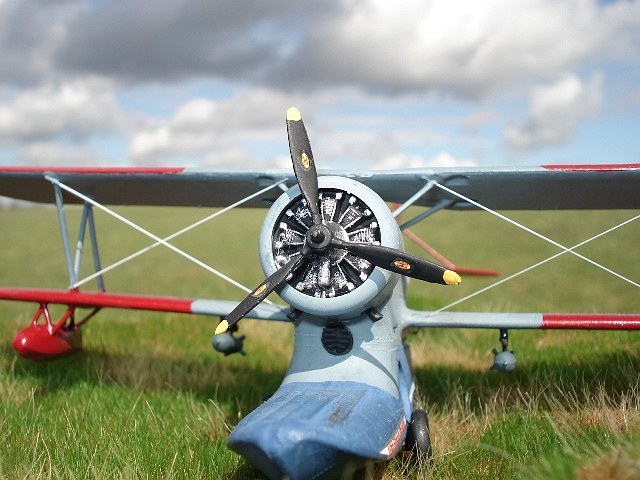 Grumman J2F-6 Duck