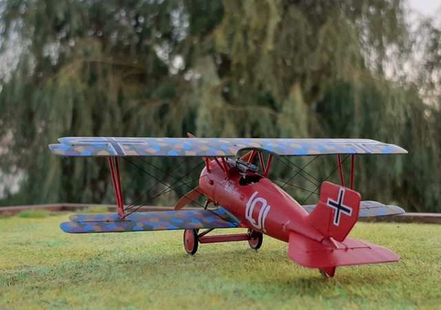 Siemens-Schuckert D.III