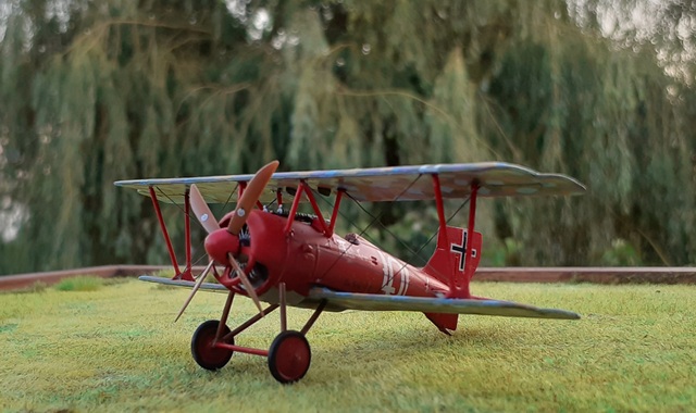 Siemens-Schuckert D.III