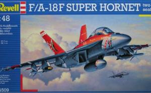 Galerie: F/A-18F Super Hornet