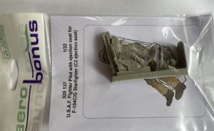 U.S.A.F.-Pilot mit C2-Schleudersitz