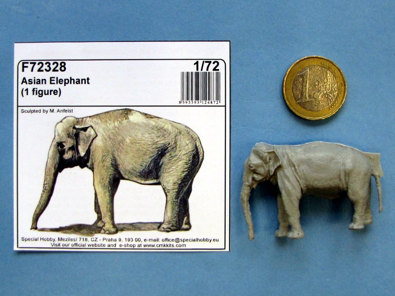 CMK - Asian Elephant