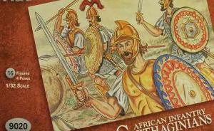 African Infantry Carthaginians