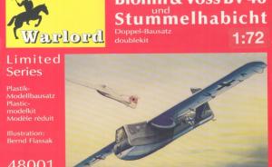 Blohm & Voss BV 40 und Stummelhabicht