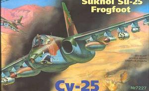 Suchoj Su-25 Frogfoot