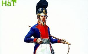 : Bavarian Infantry Command