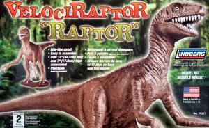 Velociraptor „Raptor“