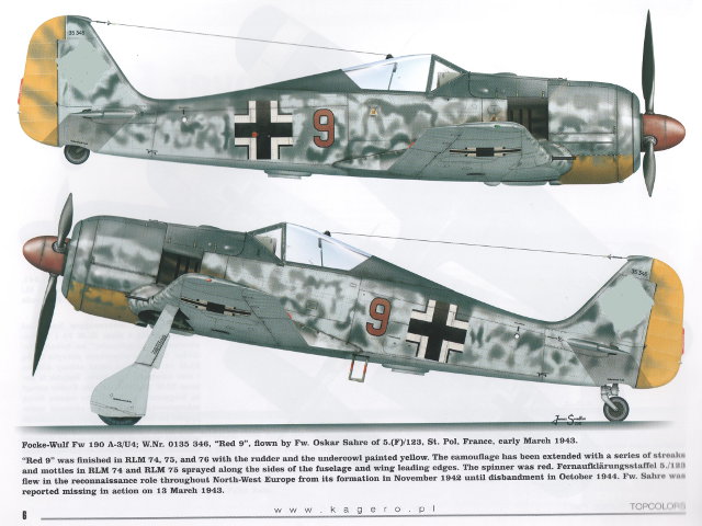 Kagero - Fw 190s over Europe, Part I