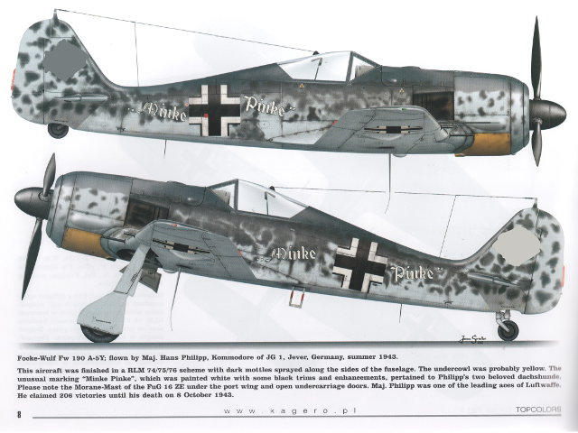 Kagero - Fw 190s over Europe, Part I