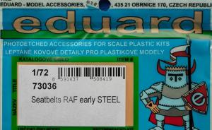 Seatbelts RAF early Steel