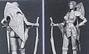 Detailset: Worlds Of Fantasy: Elf woman warrior