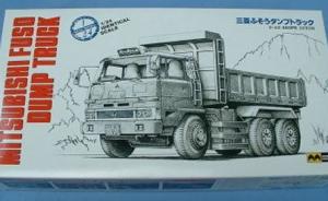 Mitsubishi-Fuso LKW