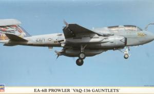 Grumman EA-6B Prowler "Gauntlets"
