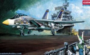 : Grumman F-14A